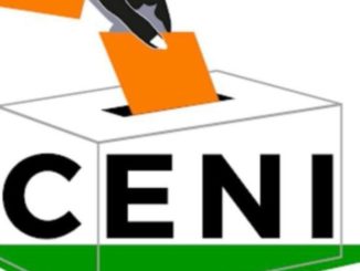 L'élection présidentielle au Niger aura lieu le 27 décembre 2020.